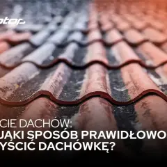 Zbliżenie na mokre dachówki po myciu dachu. Logo "biotop" i tekst "Mycie dachów: W jaki sposób prawidłowo czyścić dachówkę?".
